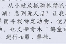燕云十六声鹅童诀奇术怎么获得 鹅童诀奇术获取攻略
