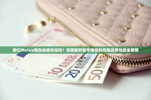 欧亿Metax钱包会被风控吗？深度解析数字钱包的风险边界与安全策略