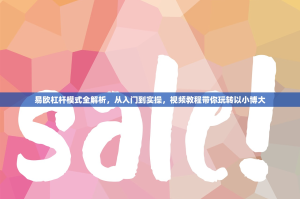 易欧杠杆模式全解析，从入门到实操，视频教程带你玩转以小博大