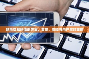 欧币交易所清退方案，背景、影响与用户应对策略