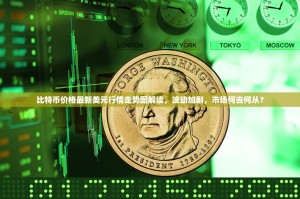 比特币价格最新美元行情走势图解读，波动加剧，市场何去何从？