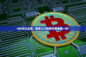 500元以太坊，新手入门的数字黄金第一步？