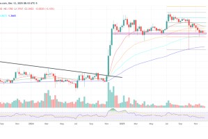 “我以后都买XRP，”自称世界最高智商的人说道