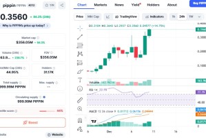 Pippin币今日价格飙升：Pippin币能否维持涨势？