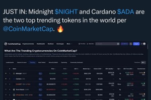 Midnight 的隐私币策略能否帮助 Cardano 保持竞争力？