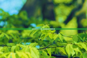 抹茶交易所买不了？别慌！这些原因和解决方案都在这里