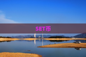 SET币