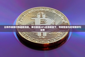 比特币极限行情最新消息，单日暴涨20%后急转直下，市场情绪与宏观博弈引深思