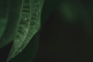 抹茶交易所杠杆系列深度解析，从入门到精通，解锁高阶交易策略