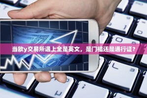 当欧y交易所遇上全是英文，是门槛还是通行证？