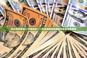 欧亿钱包能导入TP钱包吗？一文讲清跨钱包转移与安全注意事项