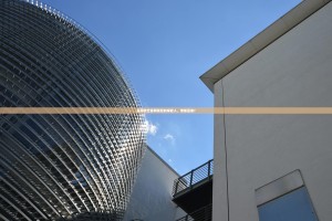 探寻欧艺官网背后的掌舵人，老板是谁？