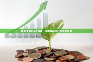 抹茶交易所与YSDT，探索数字资产交易新生态
