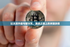 以太坊升级与硬分叉，演进之路上的关键抉择