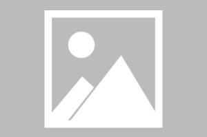 行界（禁忌领域0.1折） 清明踏青礼包