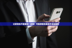 亿欧钱包不能备份？别慌！可能原因及解决方法全解析