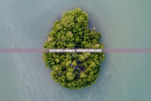 抹茶交易所抓人是真的吗？事件真相与市场影响解析