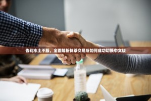 告别水土不服，全面解析抹茶交易所如何成功切换中文版