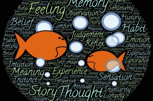 欧意交易所登上央视荧屏，彰显行业领军实力与合规发展新标杆