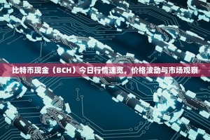 比特币现金（BCH）今日行情速览，价格波动与市场观察