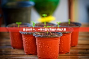 抹茶交易5L，一场味蕾与商业的绿色风暴