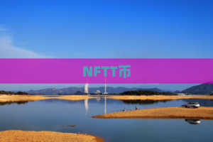 NFTT币