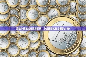 易欧中途改杠杆费用解析，中途调整杠杆需要多少钱？
