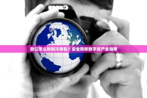 欧亿怎么转到冷钱包？安全转移数字资产全指南