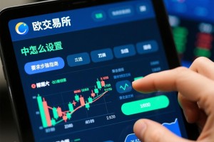 欧交易所怎么设置中文？详细步骤指南
