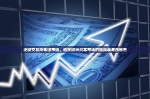 泛欧交易所集团市值，透视欧洲资本市场的晴雨表与压舱石