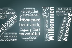 浚县欧诺二手车交易市场，您的放心之选，品质二手车聚集地