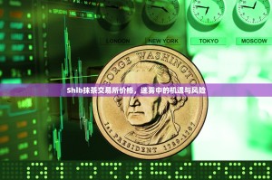 Shib抹茶交易所价格，迷雾中的机遇与风险