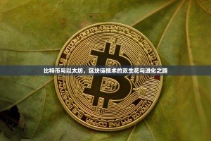 比特币与以太坊，区块链技术的双生花与进化之路