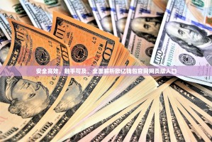 安全高效，触手可及，全面解析欧亿钱包官网网页版入口