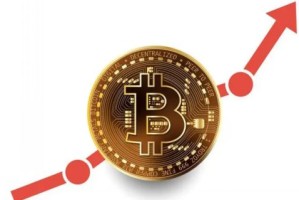 Bitwise首席投资官：无需担忧，微策略不会抛售比特币