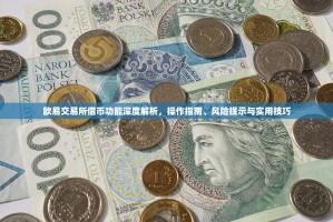 欧易交易所借币功能深度解析，操作指南、风险提示与实用技巧