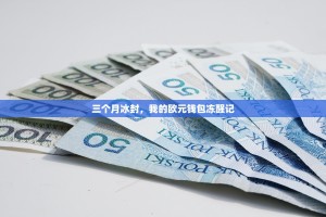 三个月冰封，我的欧元钱包冻醒记