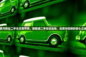 漯河欧拉二手车交易市场，新能源二手车优选地，品质与信赖的安心之选