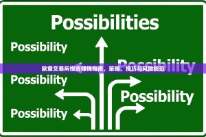 欧意交易所投资赚钱指南，策略、技巧与风险防范