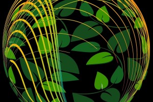 苹果抹茶交易所怎么下载？超详细图文指南助您轻松上手