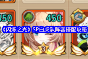 闪烁之光白虎队配队玩法攻略