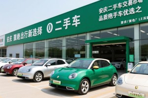 安庆欧拉二手车交易市场，绿色出行新选择，品质二手车优选之地