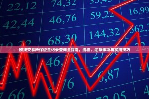 欧线交易所保证金记录查询全指南，流程、注意事项与实用技巧