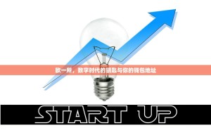 欧一所，数字时代的钥匙与你的钱包地址
