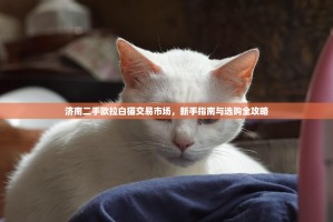 欧易交易所（OKX）使用全攻略，从注册到交易的详细指南