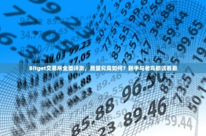Bitget交易所全面评测，质量究竟如何？新手与老鸟都该看看