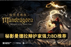 秘影曼德拉辩护家强力BD推荐[多图]