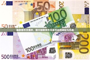 埃欧塔币交易所，新兴加密货币交易平台的崛起与机遇