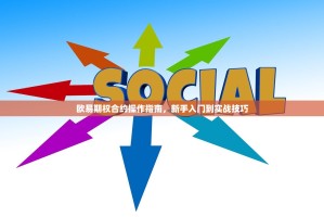 欧易期权合约操作指南，新手入门到实战技巧