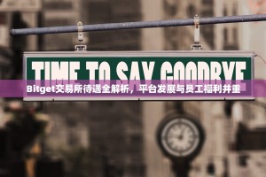 Bitget交易所待遇全解析，平台发展与员工福利并重